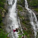cascata nardis