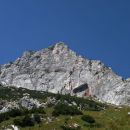 kogel