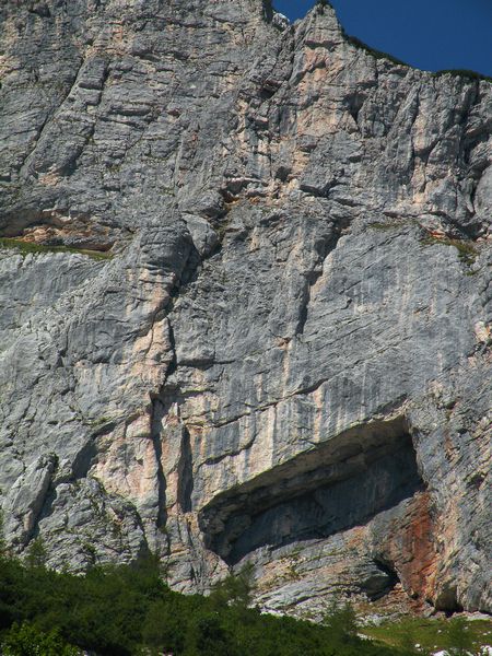 Kogel, rumena zajeda itd.