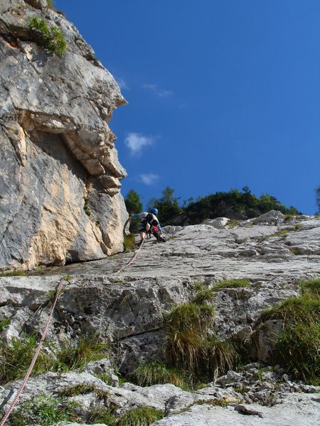 Pubec - foto povečava