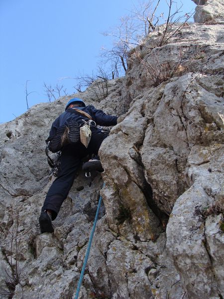 Vi-pava - foto povečava