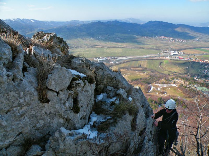 Vi-pava - foto povečava