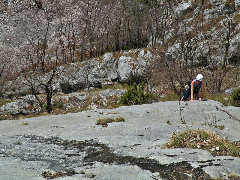 Brione - foto povečava