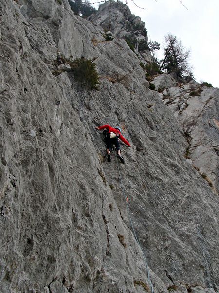 Pobeg - foto povečava