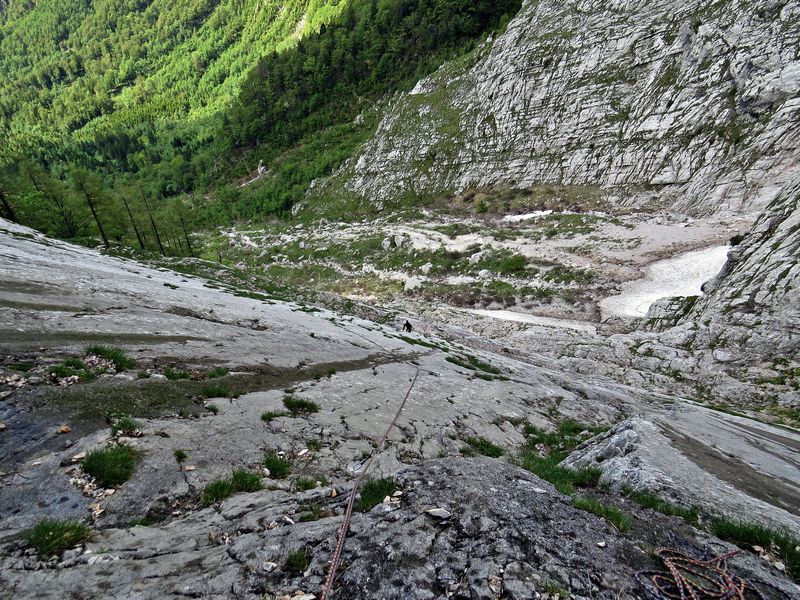 šmarnica - foto povečava