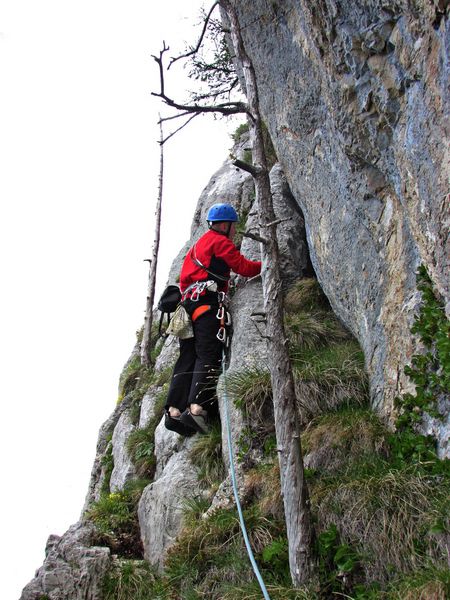 Bolje kot nič - foto