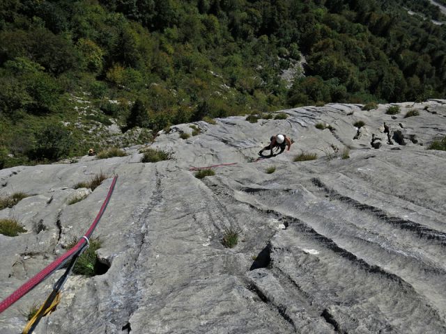 Sladki kruh - foto