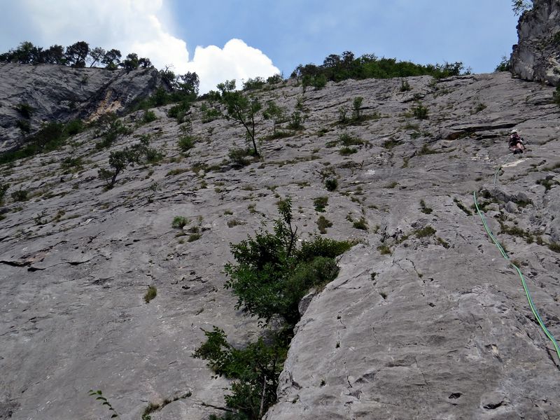 Klemenča - foto povečava