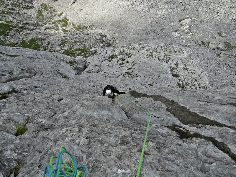 Creta pricotic - foto povečava