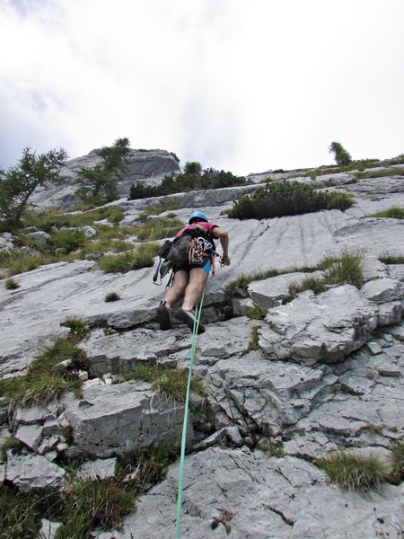 Gejša, zapotoški vrh - foto