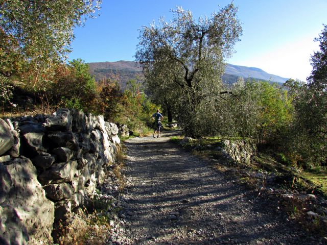 Torbole 2015 - foto