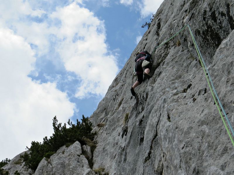 21.05.2016 - foto povečava