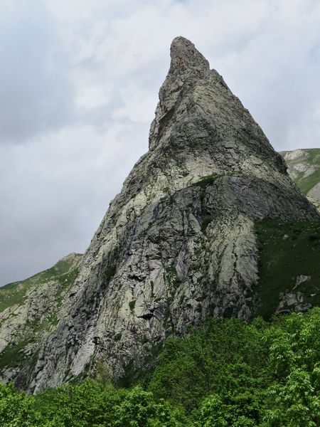 rocca provencale