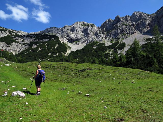 Dolga njiva z ostenjem ježa