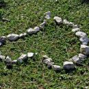 love is in the air