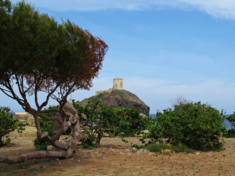 torre coltellazzo