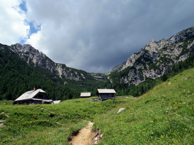 Planina konjščica