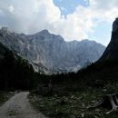 bovški gamsovec