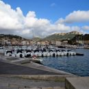 cassis