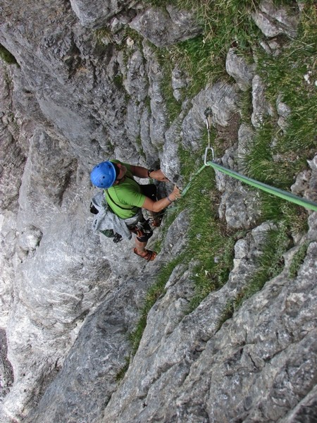 Coston stella - foto povečava