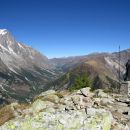 val ferret