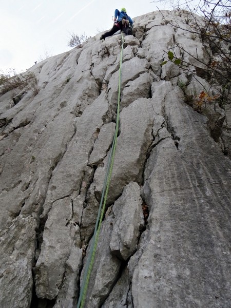 Camonica - foto