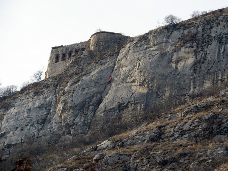 Kulturni dnevi - foto povečava