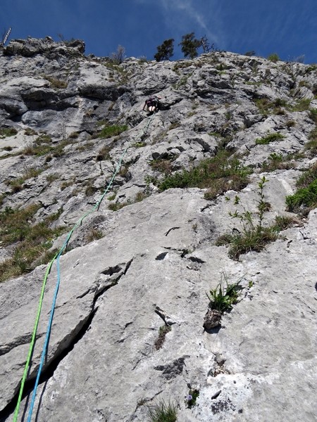 Salzkammergut - foto