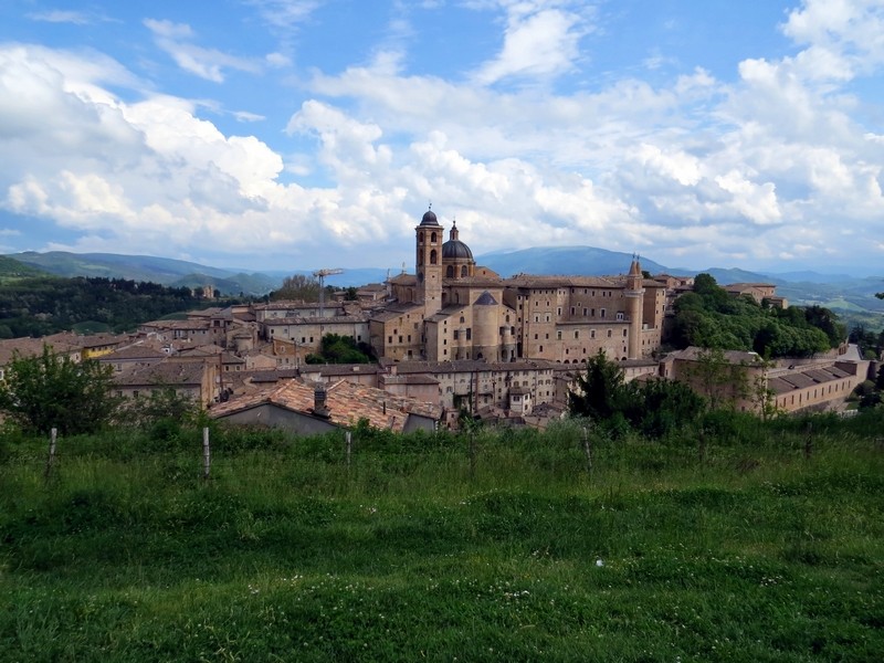 urbino