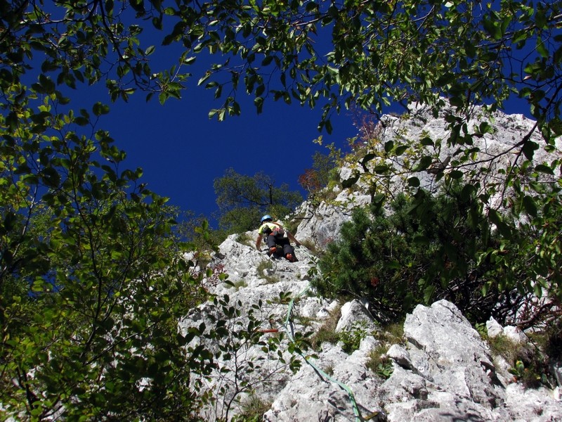 13.10.2019 - foto povečava