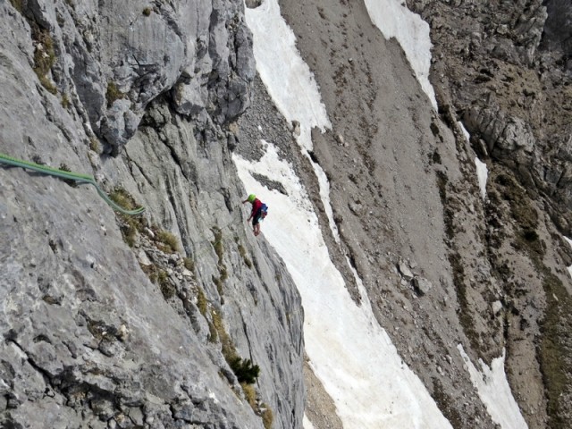 Sarda1 - foto