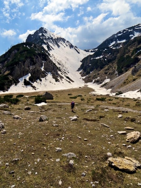 Sarda1 - foto