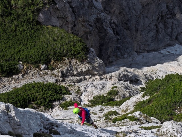 Samo za norce in konje - foto