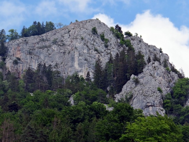 Področje delovanja