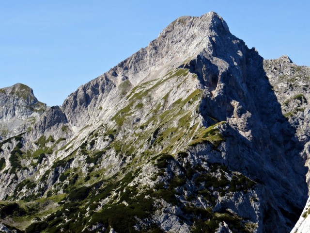 Ojstrica, lepotica