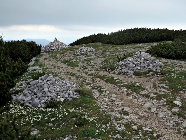 Markacije