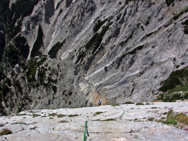 Rax1 - foto