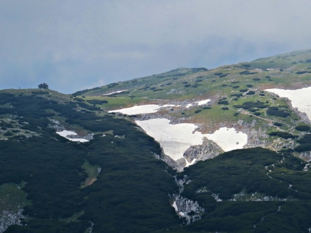 Rax1 - foto
