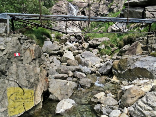 Barone - foto