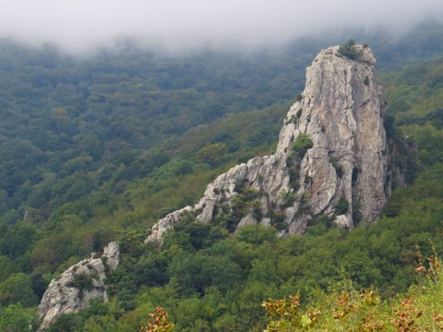 čudovit osamelec
