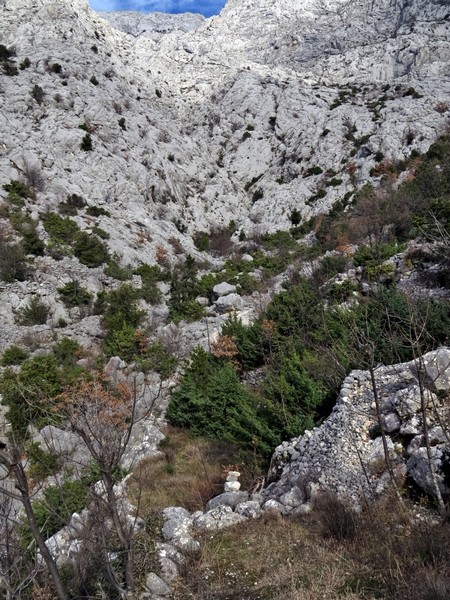 v smeri možicev do stene