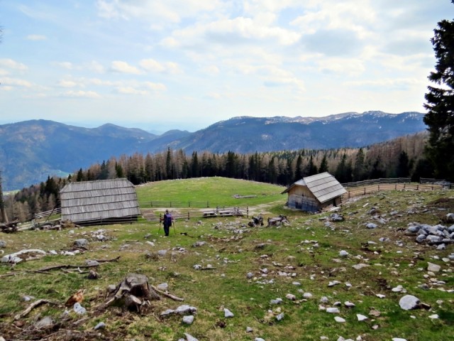 Planina podvežak z veliko planino v ozadju