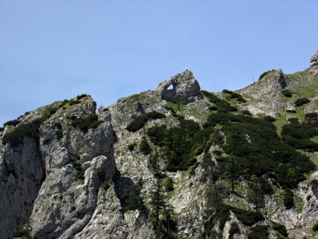 šivankino uho