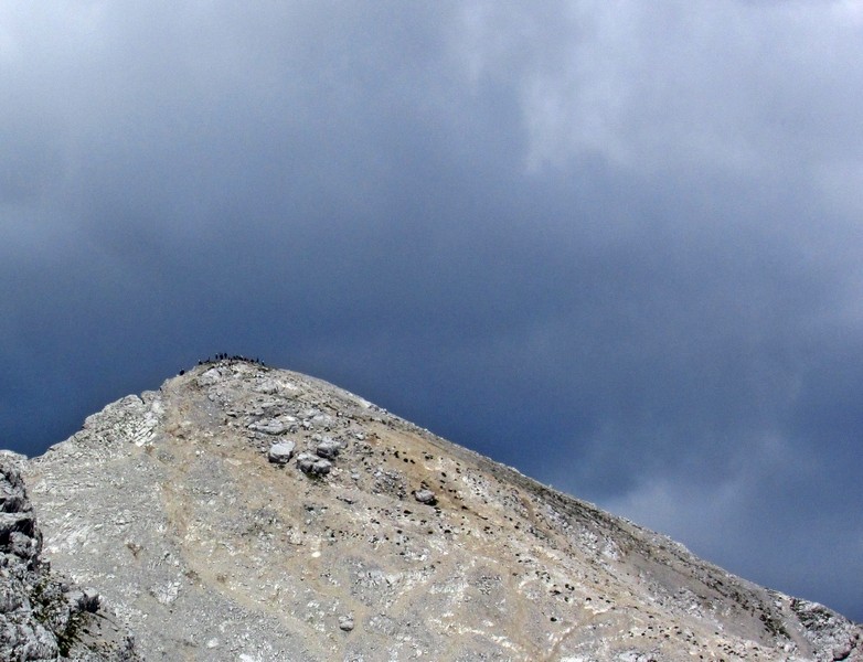 nazaj v množični raj, oblegana mojstrovka, milo rečeno