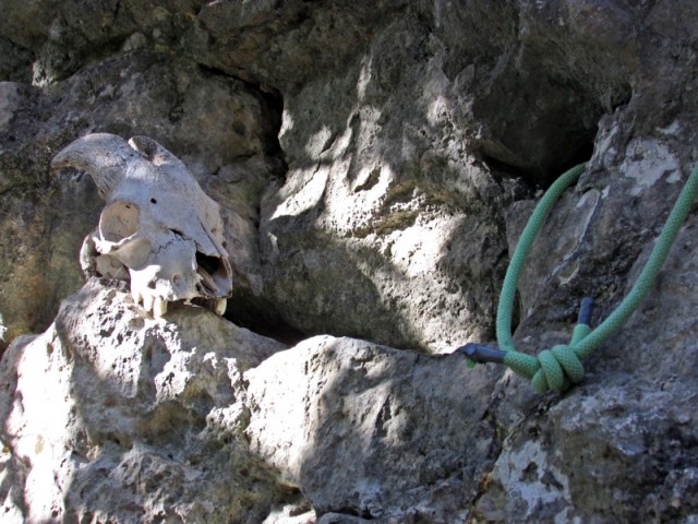 V spodbudo