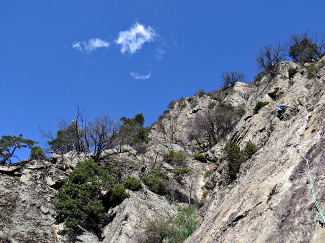 Susa - foto
