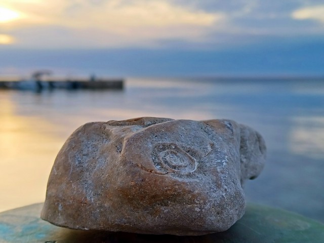 Ercegov vrh - foto