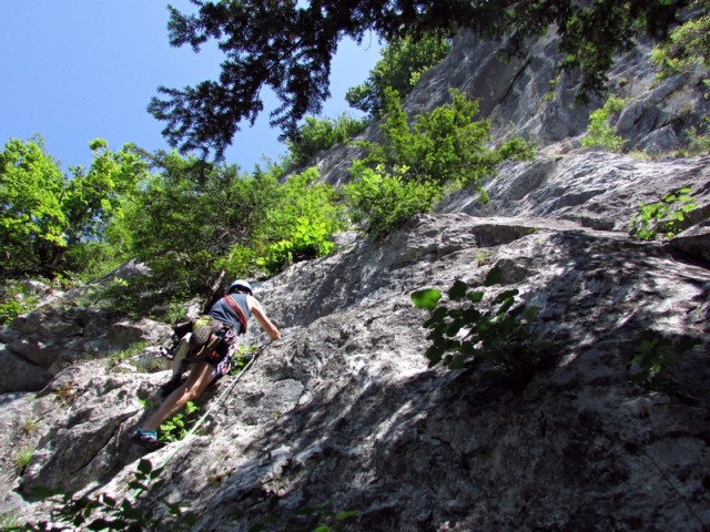 Ewige w - foto