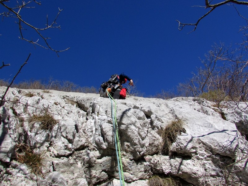 Senča - foto povečava