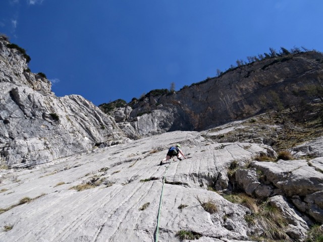 šmarnca - foto